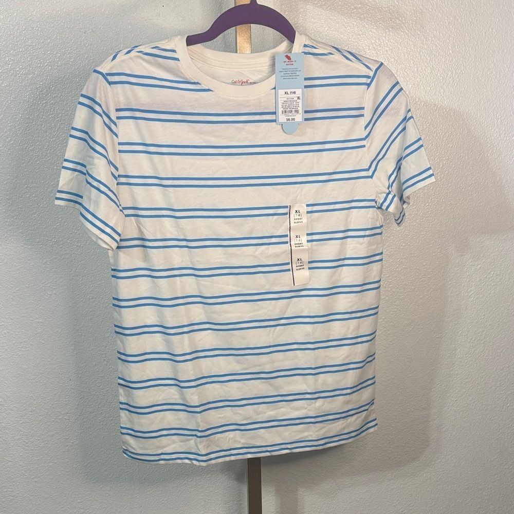 Blue and White Striped T-Shirt